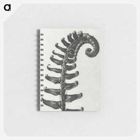 1-3_Karl-Blossfeldt_memo