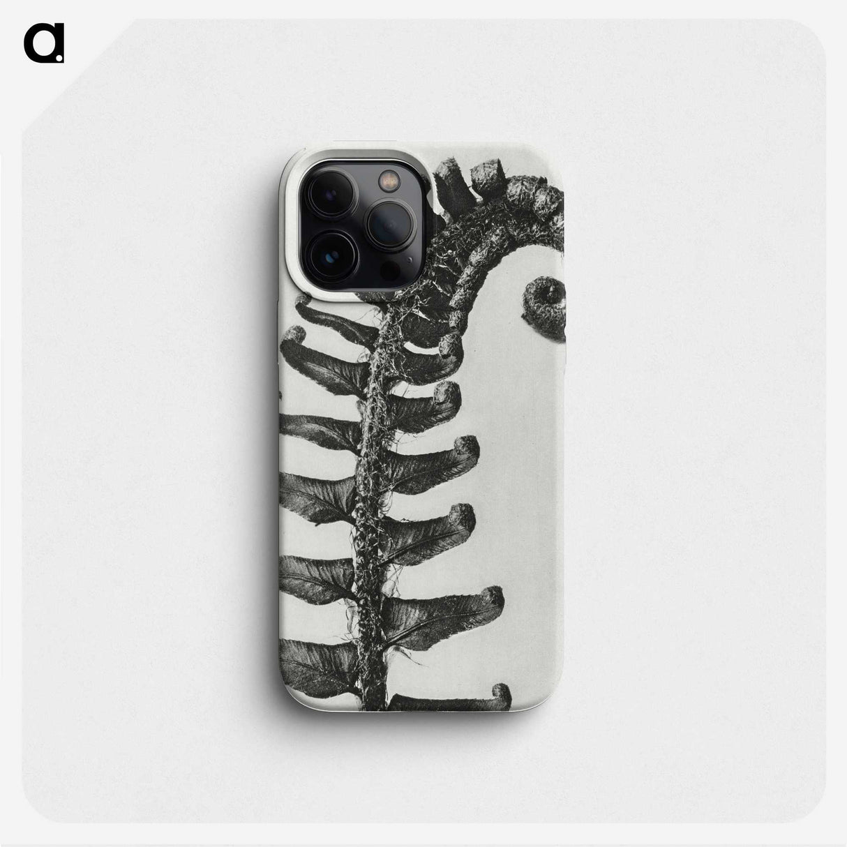 1-3_Karl-Blossfeldt_phone