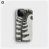 1-3_Karl-Blossfeldt_phone