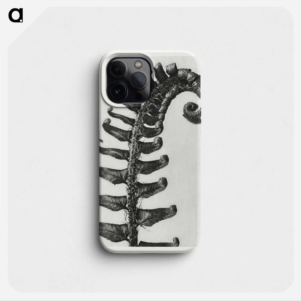 Polystichum Munitum (Prickly Shield–Fern) Leaf enlarged 6 times from Urformen der Kunst by Karl Blossfeldt - Karl Blossfeldt Phone Case.