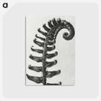 1-3_Karl-Blossfeldt_postcard