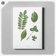 1-3_La-Botanique_canvas