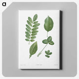 1-3_La-Botanique_canvas