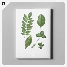 1-3_La-Botanique_canvas