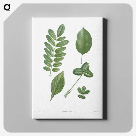 1-3_La-Botanique_canvas