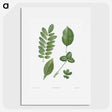 1-3_La-Botanique_picture