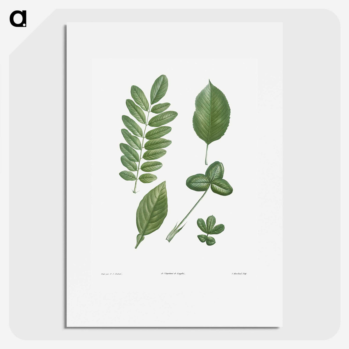 1-3_La-Botanique_picture