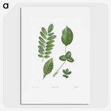 1-3_La-Botanique_picture