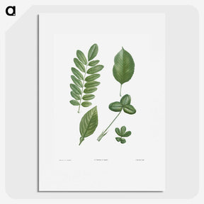 1-3_La-Botanique_picture