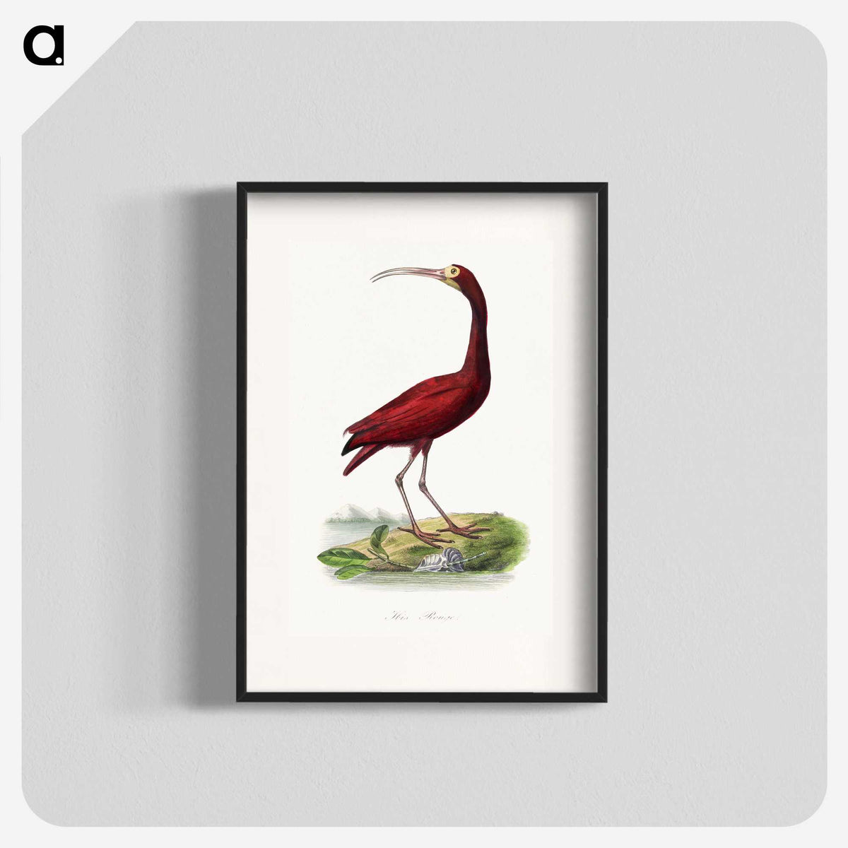 1-3_Le-Jardin-des-Plantes_blk