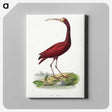 1-3_Le-Jardin-des-Plantes_canvas