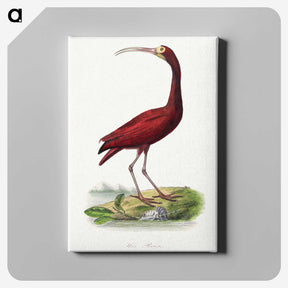1-3_Le-Jardin-des-Plantes_canvas
