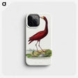 1-3_Le-Jardin-des-Plantes_phone