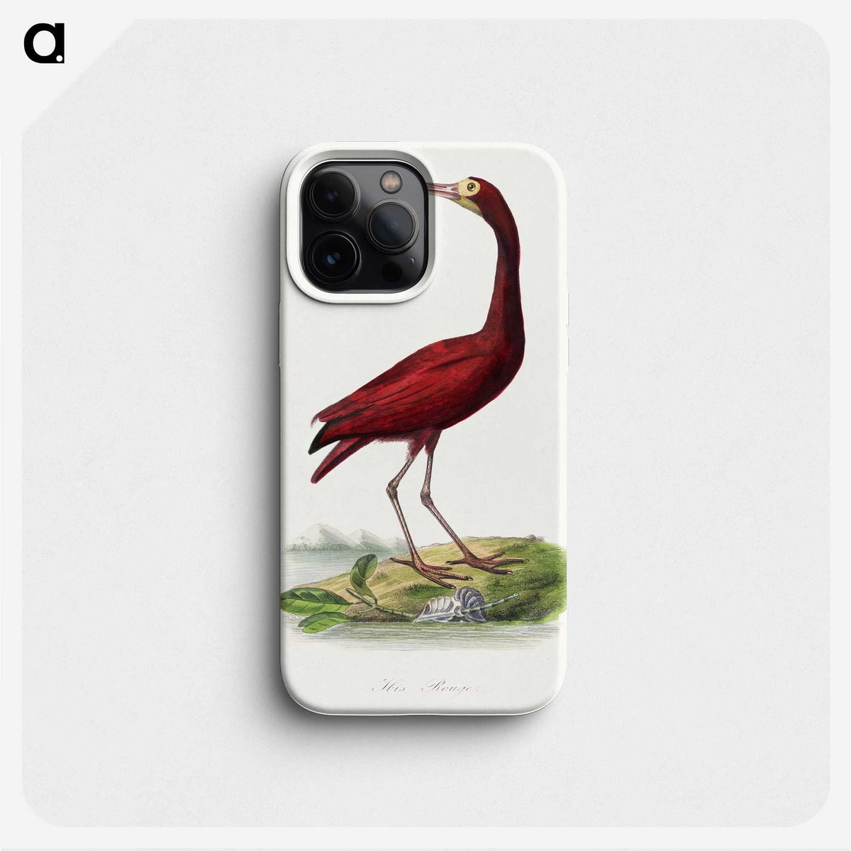 1-3_Le-Jardin-des-Plantes_phone