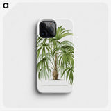 1-3_Les-Palmiers-Histoire-Iconographique_phone