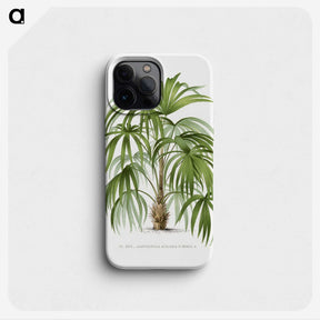 1-3_Les-Palmiers-Histoire-Iconographique_phone