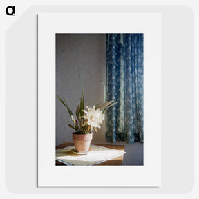 1-3_Leslie-Adkin_picture