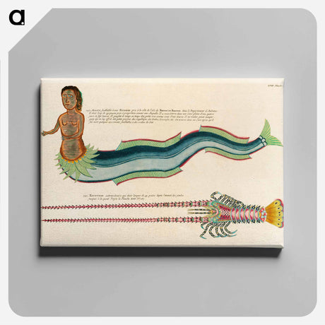 アートパネル-Moluccan Siren and Lobster
 - ルイ ルナール Canvas.