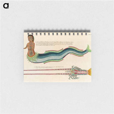 アートメモ帳-Moluccan Siren and Lobster
 - ルイ ルナール Memo.