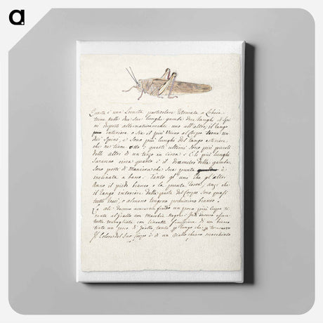 アートパネル-Locust
 - ルイージ バルガーニ Canvas.