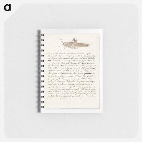 アートメモ帳-Locust
 - ルイージ バルガーニ Memo.