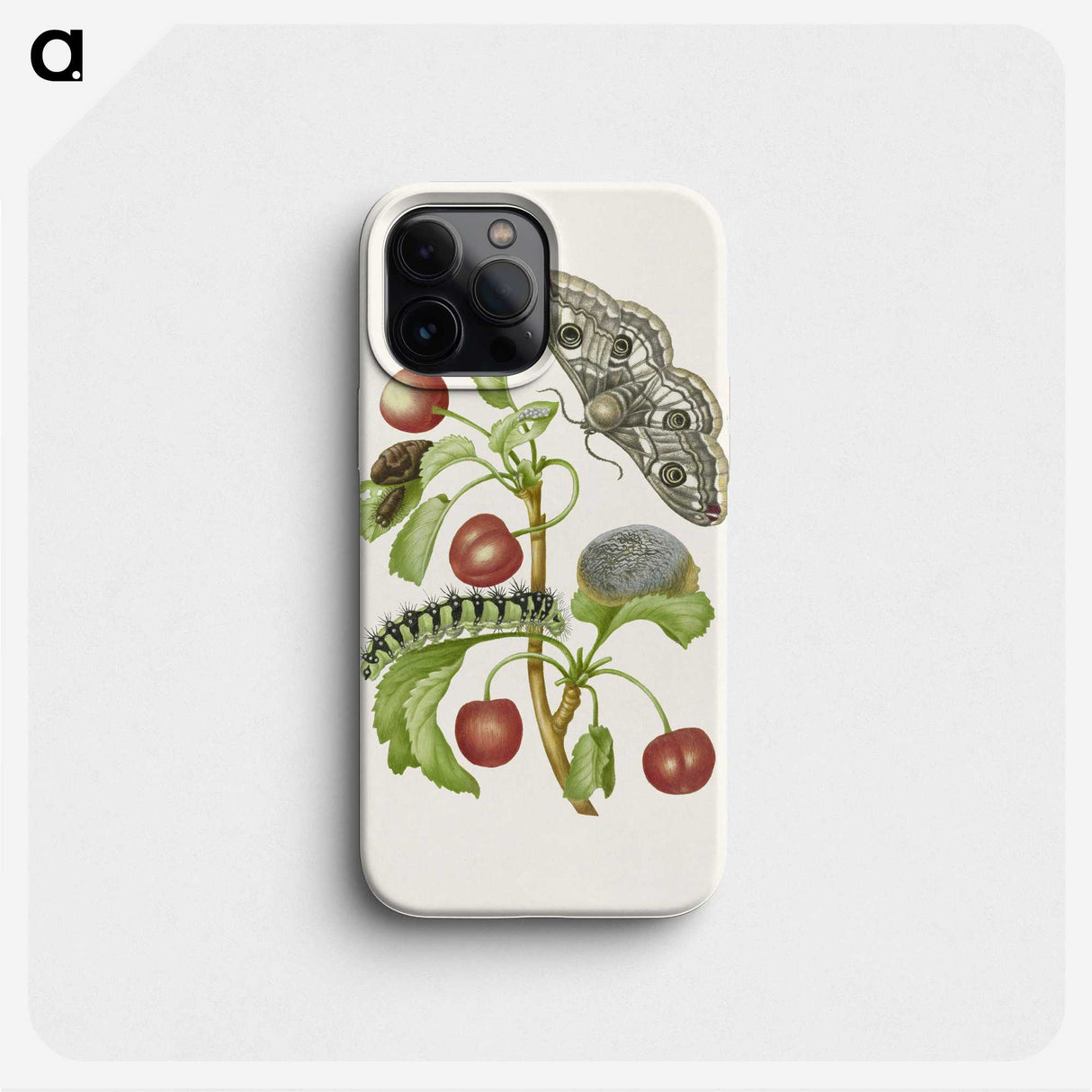 1-3_Maria-Sibylla-Merian_phone