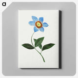 1-3_Mary-Altha-Nims_canvas