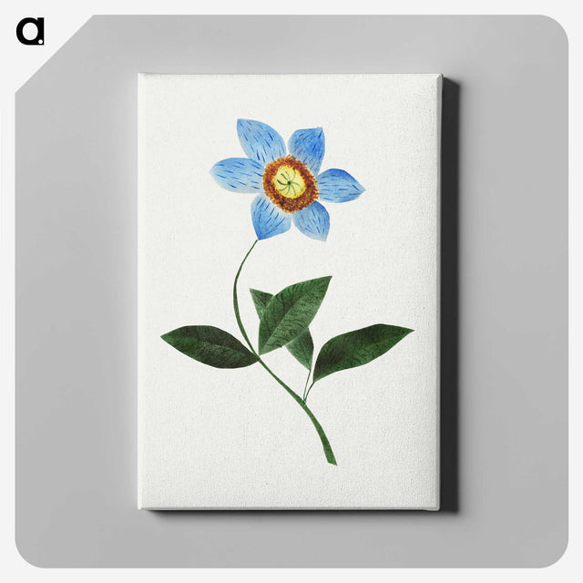 1-3_Mary-Altha-Nims_canvas