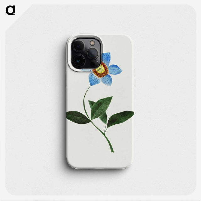 1-3_Mary-Altha-Nims_phone