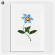 1-3_Mary-Altha-Nims_picture