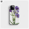 1-3_Mary-Vaux-Walcott_phone