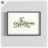1-3_Medical-Botany_blk