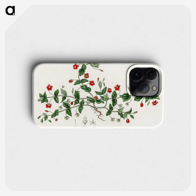 1-3_Medical-Botany_phone