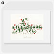 1-3_Medical-Botany_picture