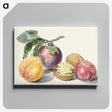1-3_Michiel-van-Huysum_canvas