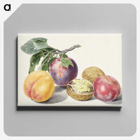 1-3_Michiel-van-Huysum_canvas