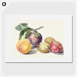 1-3_Michiel-van-Huysum_picture