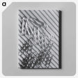 1-3_Milos-Dohnany_canvas