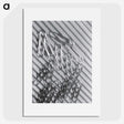 1-3_Milos-Dohnany_picture