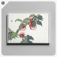 1-3_Morimoto-Tokaku_canvas