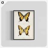 1-3_Moths-and-Butterflies-of-the-United-States_blk-crop