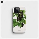 1-3_Nederlandsche-Flora-en-Pomona_phone