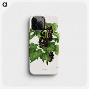 1-3_Nederlandsche-Flora-en-Pomona_phone