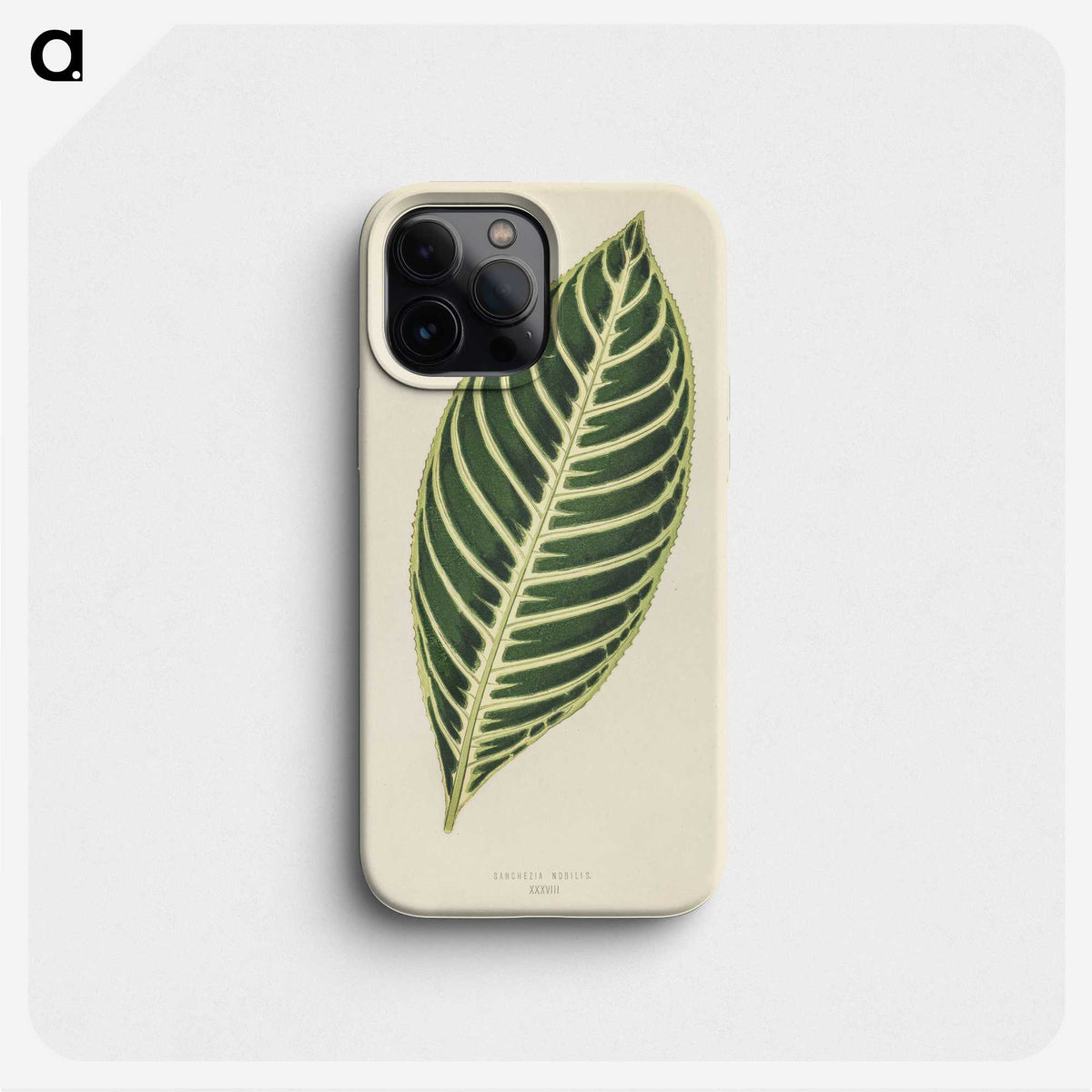1-3_New-and-Rare-Beautiful-Leaved-Plants_phone