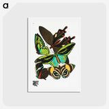 1-3_Papillons_hagaki