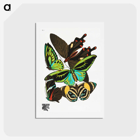 1-3_Papillons_hagaki