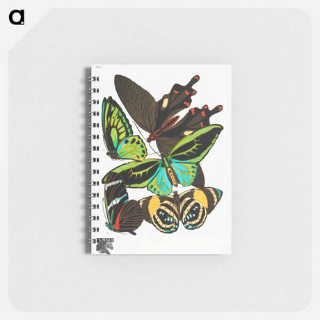 アートメモ帳-Vintage Butterflies
 - パピヨン Memo.