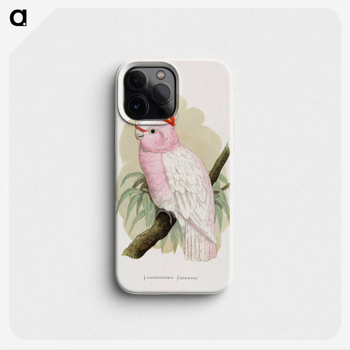 1-3_Parrots-in-Captivity_phone