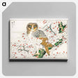 アートパネル-Short-eared Owl and Cherry Flower
 - 鳥類図鑑 Canvas.