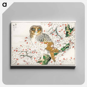 アートパネル-Short-eared Owl and Cherry Flower
 - 鳥類図鑑 Canvas.